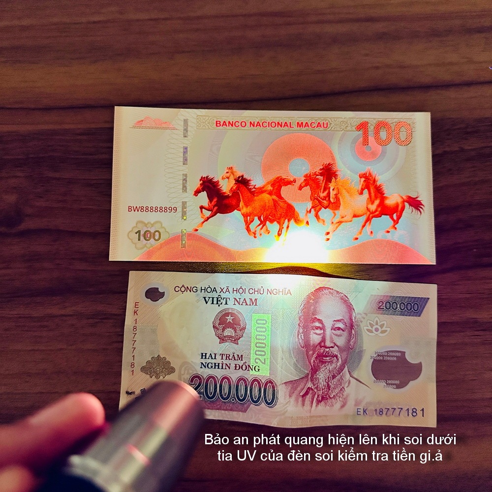 Tiền Mã Đáo Thành Công Macao Lưu Niệm Hình Con Ngựa và Cá Chép Vượt Vũ Môn Lì Xì Tết Ý Nghĩa