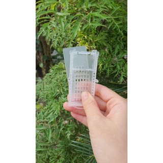 Rọ nhốt chúa 2 ngăn