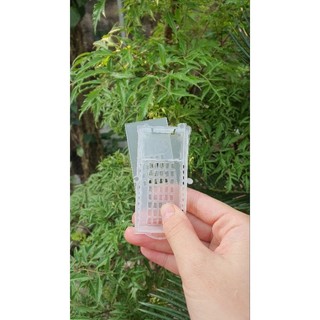 Rọ nhốt chúa 2 ngăn