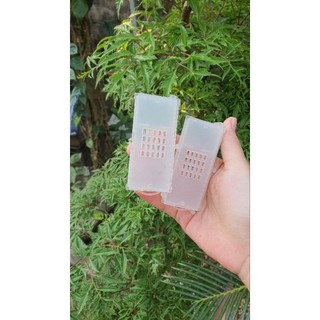 Rọ nhốt chúa 2 ngăn