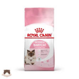 Hạt Royal Canin túi 4kg cho chó mèo