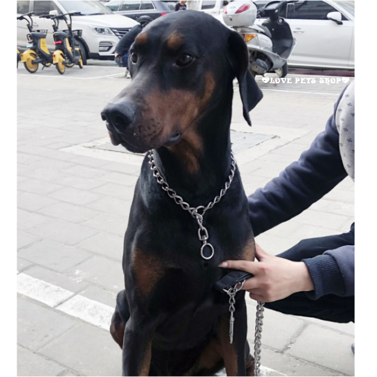 Vòng cổ cho Chó bằng thép không gỉ hàn liền có khoen móc xoay 360 độ - Love Pets shop