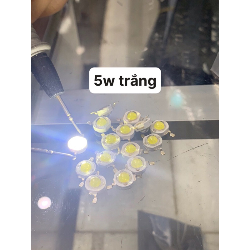 Led 5w tròn