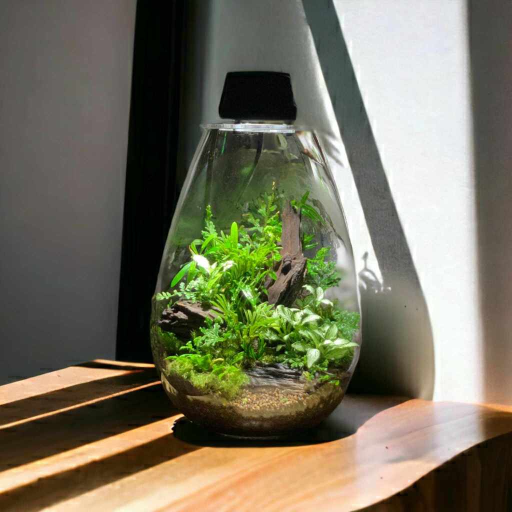 Bình mosslight terrarium size to 25x16cm