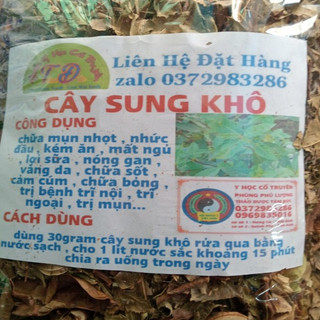 1kg cây sung khô thân lá