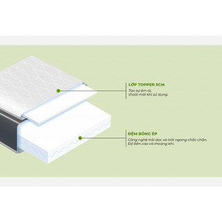 Đệm bông ép Everon TOP PLUS ĐỆM GẬP 2 (đệm bông ép với lớp topper 5cm)