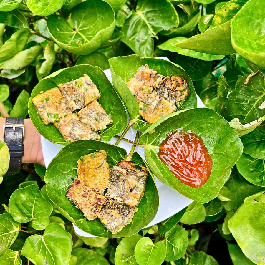 Cây Đinh Lăng Chén