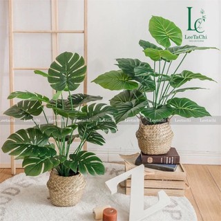 Cây trầu bà lá xẻ giả, cây giả trang trí nhà cửa, văn phòng - Cây 18 lá