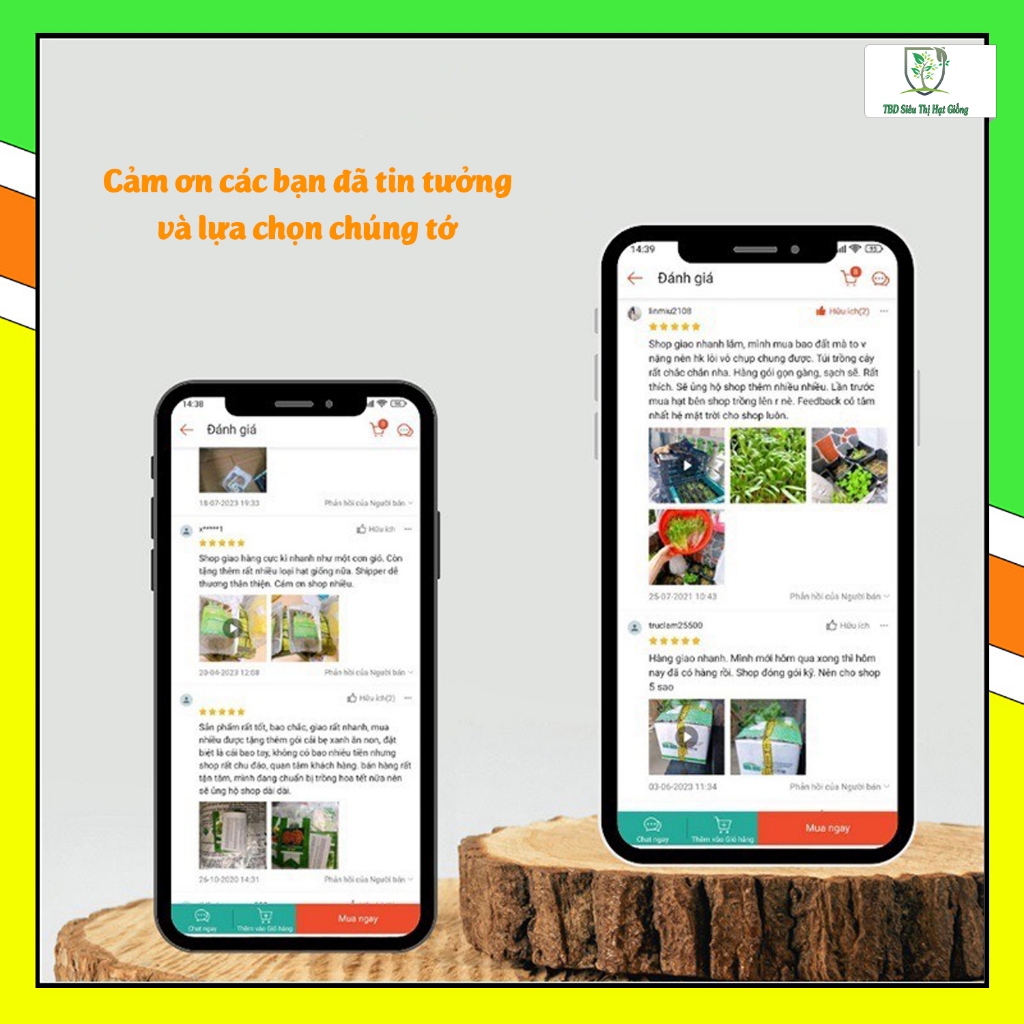 Viên nén xơ dừa, viên nén tiết kiệm thời gian ươm hạt nảy mầm, tăng độ tơi xốp cho đất trồng - Siêu Thị hạt giống TBD