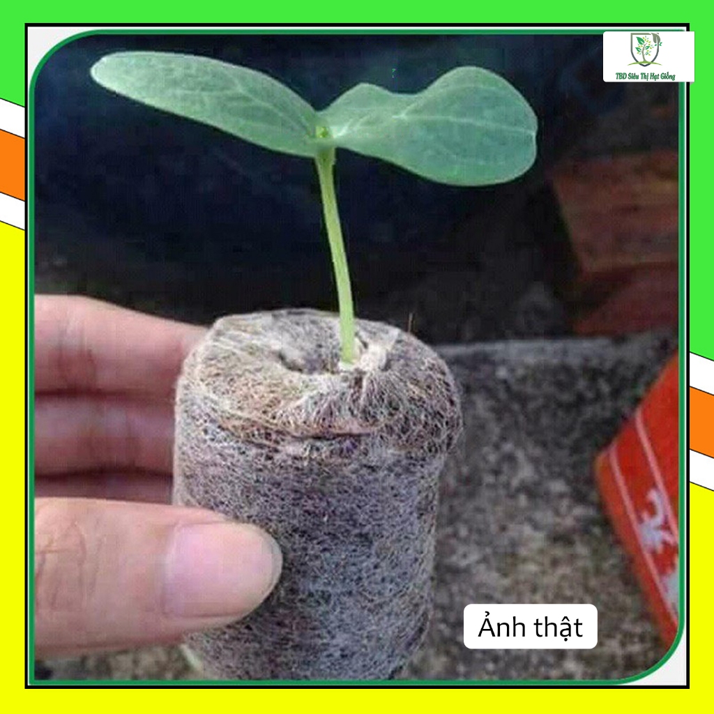 Viên nén xơ dừa, viên nén tiết kiệm thời gian ươm hạt nảy mầm, tăng độ tơi xốp cho đất trồng - Siêu Thị hạt giống TBD
