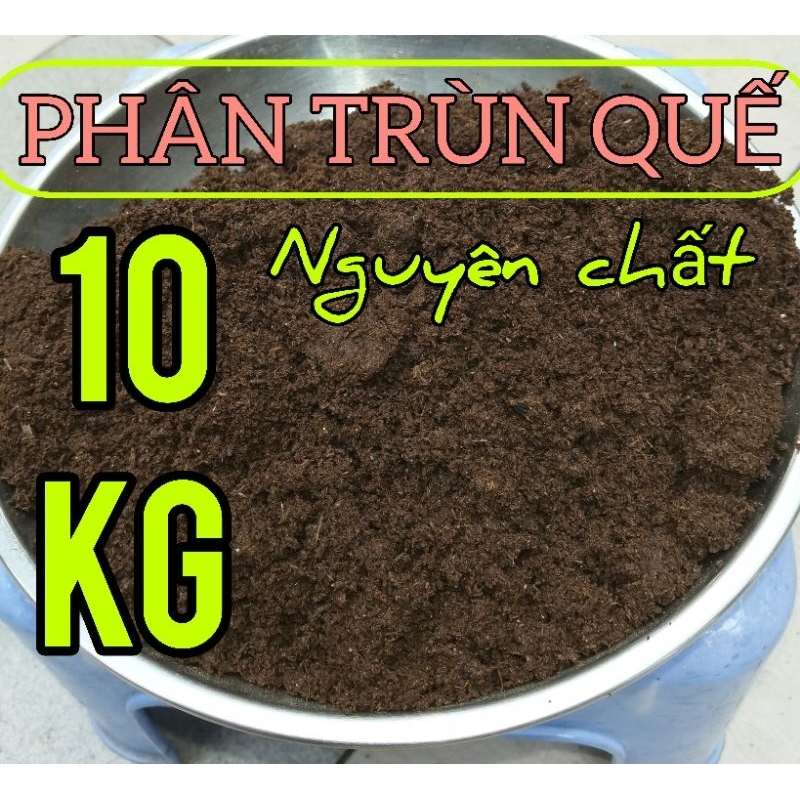 PHÂN TRÙN QUẾ NGUYÊN CHẤT - 10Kg