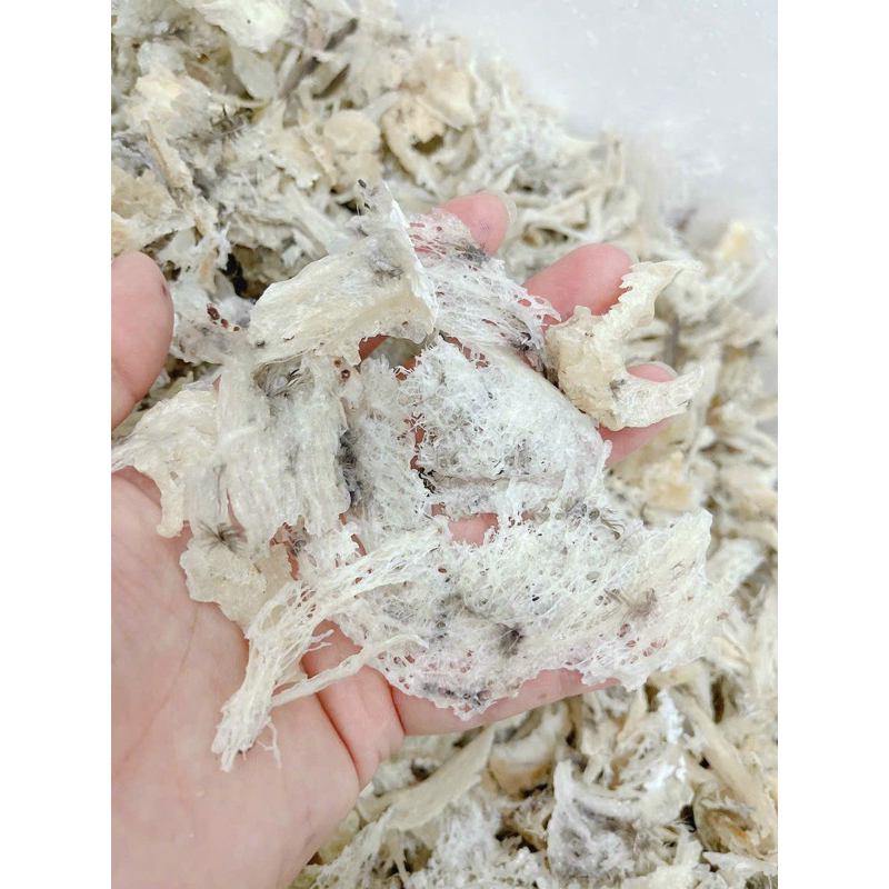 10gram TỔ YẾN VỤN THÔ NGUYÊN CHẤT GÓI 10gram yến tăng kèm GIA VỊ CHƯNG VÀ NHÍP NHẶT LÔNG khi mua từ 20 gram