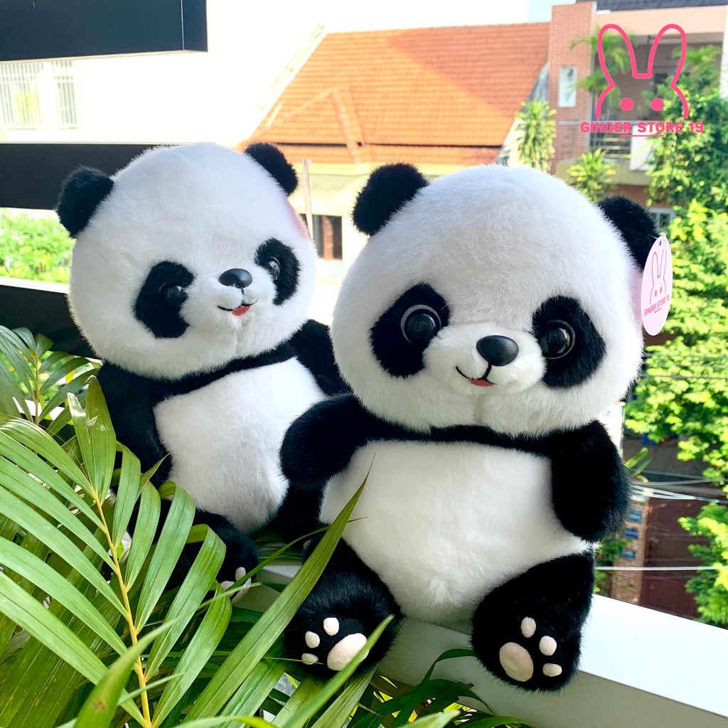 Gấu bông gấu trúc, Gấu trúc, Panda dễ thương làm quà tặng cho bé, quà tặng người yêu, quà tặng sinh nhật
