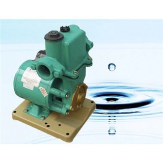 Máy bơm nước chân không Wilo PW750E