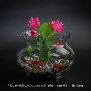 Bình thủy tinh có chân chuyên dùng trồng cây thủy sinh, thủy canh, bình nuôi cá để bàn