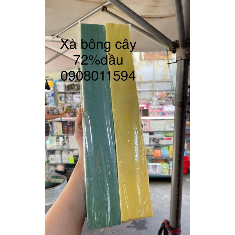 xà bông cây 72% dầu .