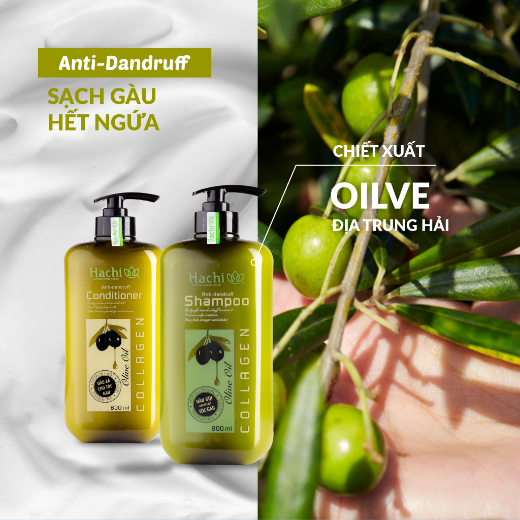 Dầu Gội, Xả Olive Hachi 350ml 500 800 Được Chiết Xuất Từ Quả Oliu Giúp Mái Tóc Ngăn Ngừa Gàu Và Giảm Kích Ứng Da Đầu