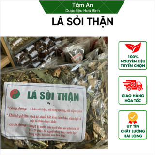 [GIÁ BÁN SỈ] 1KG LÁ SỎI THẬN KHÔ HÀNG ĐẸP CHỮA SỎI THẬN, SỎI BÀNG QUANG, SỎI NIỆU QUẢN