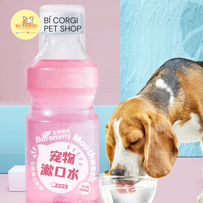 Nước uống thơm miệng, làm sạch mảng bám cho chó mèo Borammy