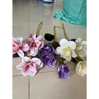 Cành mộc lan su