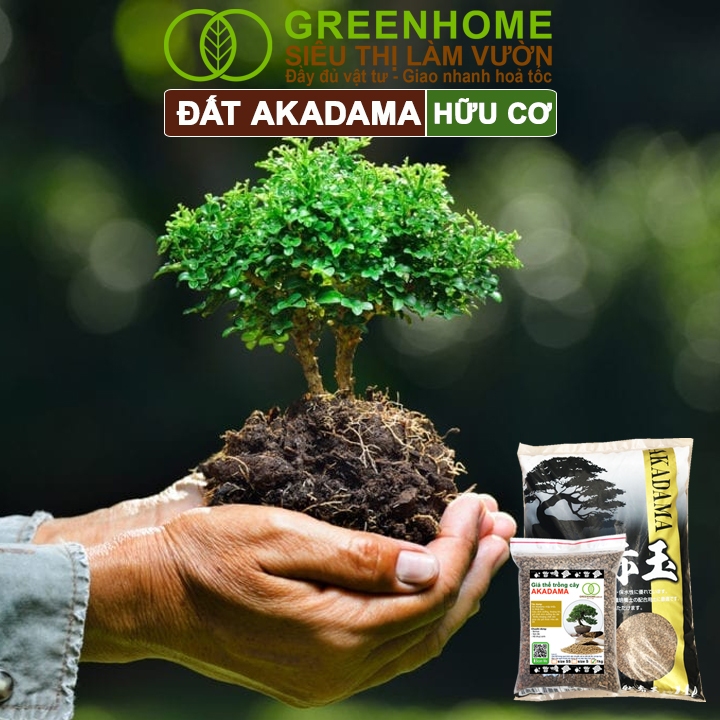 Đất Akadama Greenhome, Bao 1kg, Giá Thể Bonsai, Kiểng Lá, Sen Đá, Phân Nền Thủy Sinh, Nhiều Dưỡng Chất