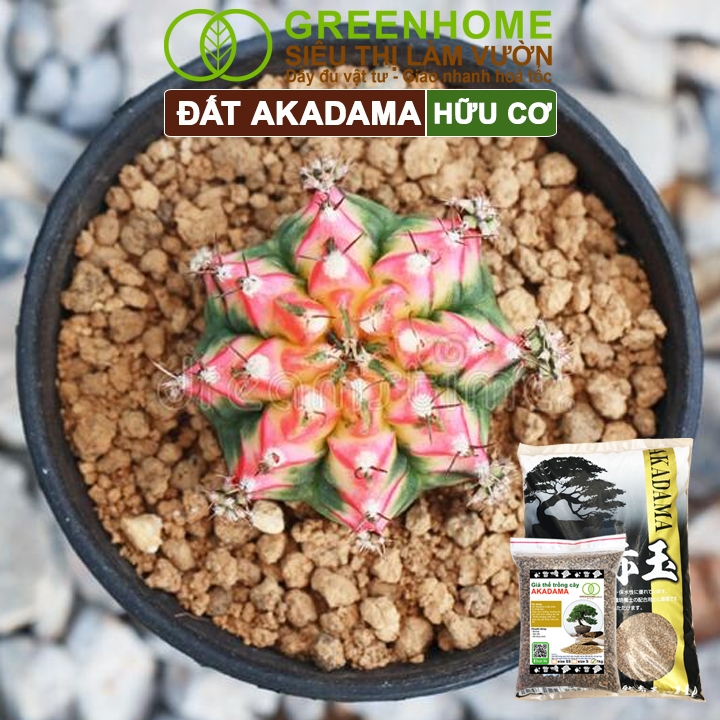 Đất Akadama Greenhome, Bao 1kg, Giá Thể Bonsai, Kiểng Lá, Sen Đá, Phân Nền Thủy Sinh, Nhiều Dưỡng Chất