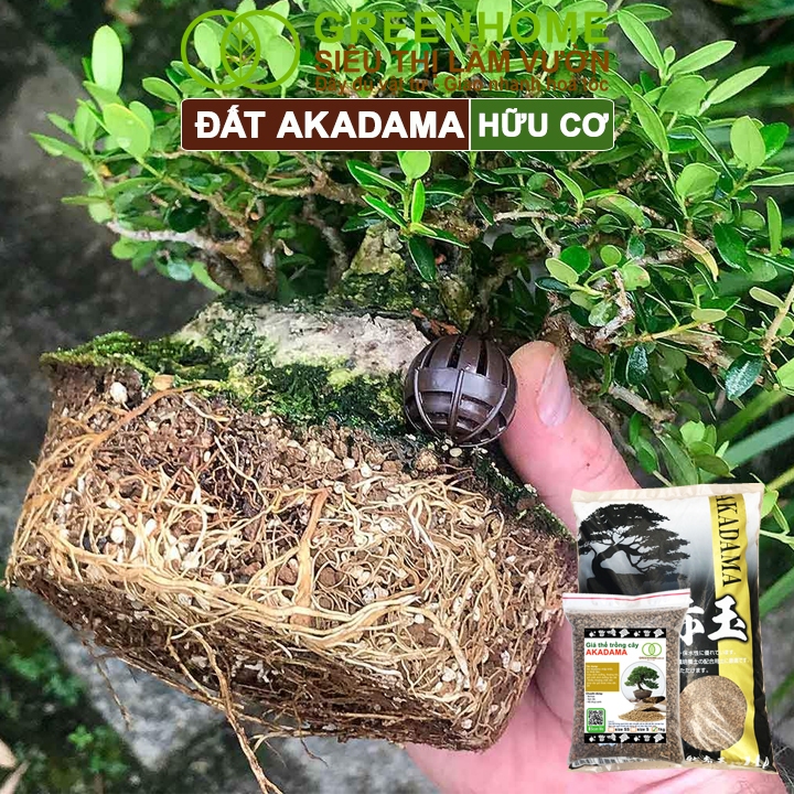 Đất Akadama Greenhome, Bao 1kg, Giá Thể Bonsai, Kiểng Lá, Sen Đá, Phân Nền Thủy Sinh, Dưỡng Chất