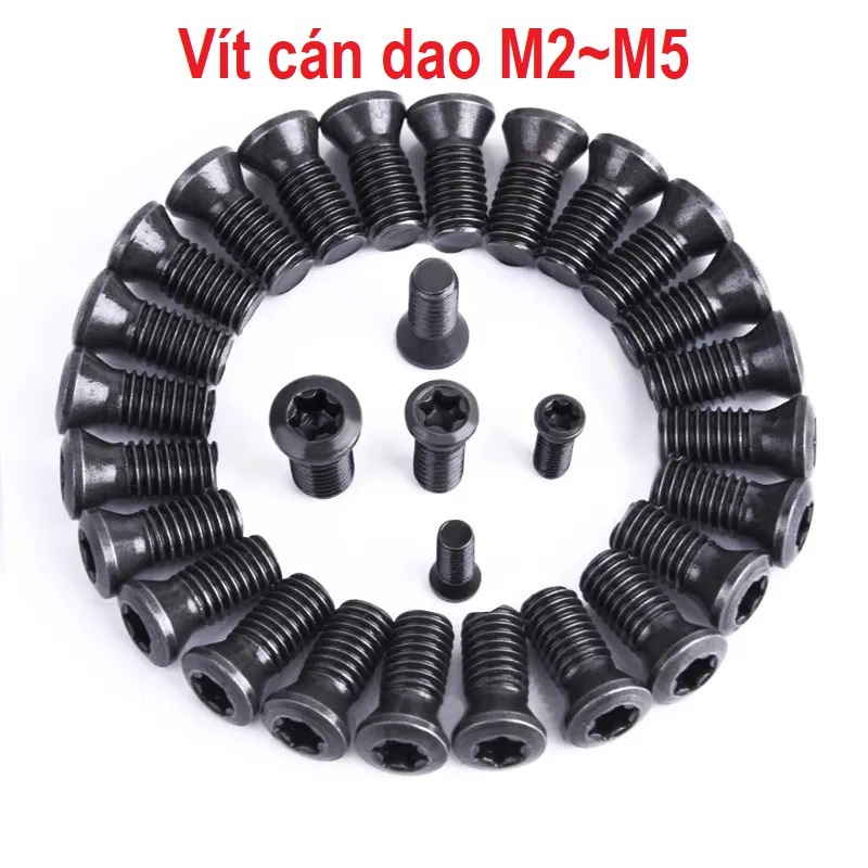 Ốc vít giữ chíp 1 mặt trên cán dao tiện CNC