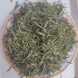 Lá đắng (lá lằng) Nghệ An