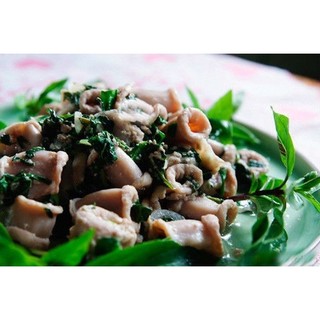 Lá đắng (lá lằng) Nghệ An