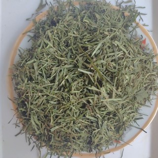 Lá đắng (lá lằng) Nghệ An