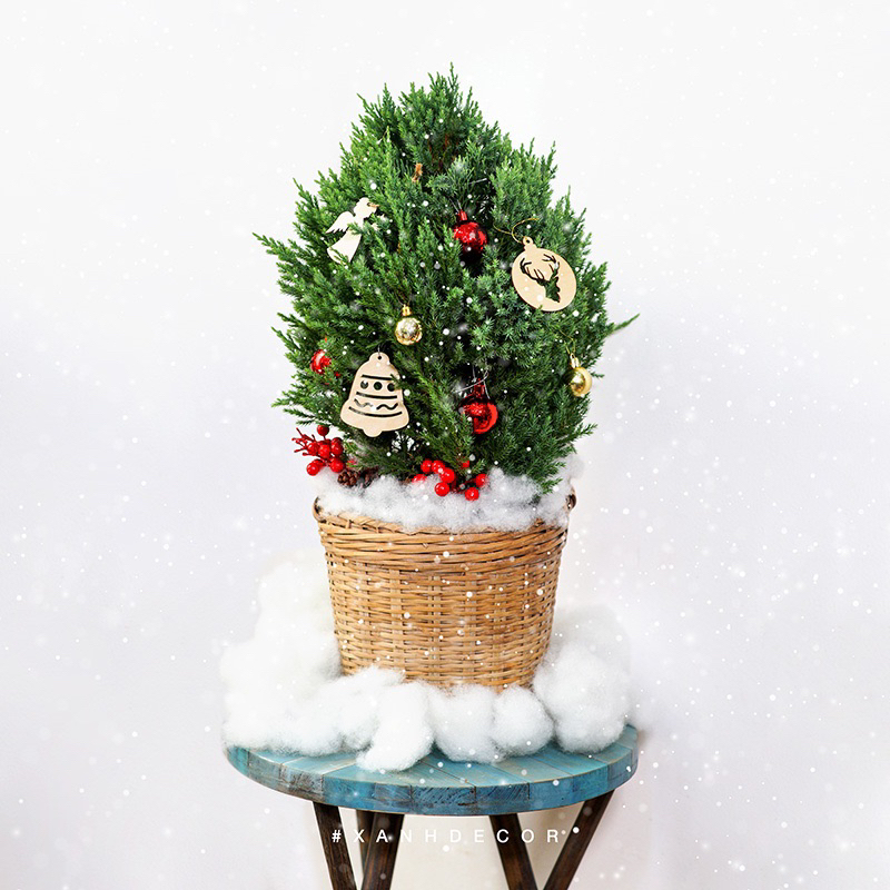 Cần xé tre decor 14 cm