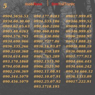 Sim tra trước giá rẻ mobifone 09 số đẹp,dễ nhớ. tài lộc , phong thuỷ.tha hồ lựa chọn