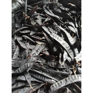 Trái bồ kết khô già rụng cây Vụ Mới/ Bồ Kết Xông nhà 1Kg Qủa Bồ Kết gội đầu thảo dược giúp mọc tóc bóng khỏe