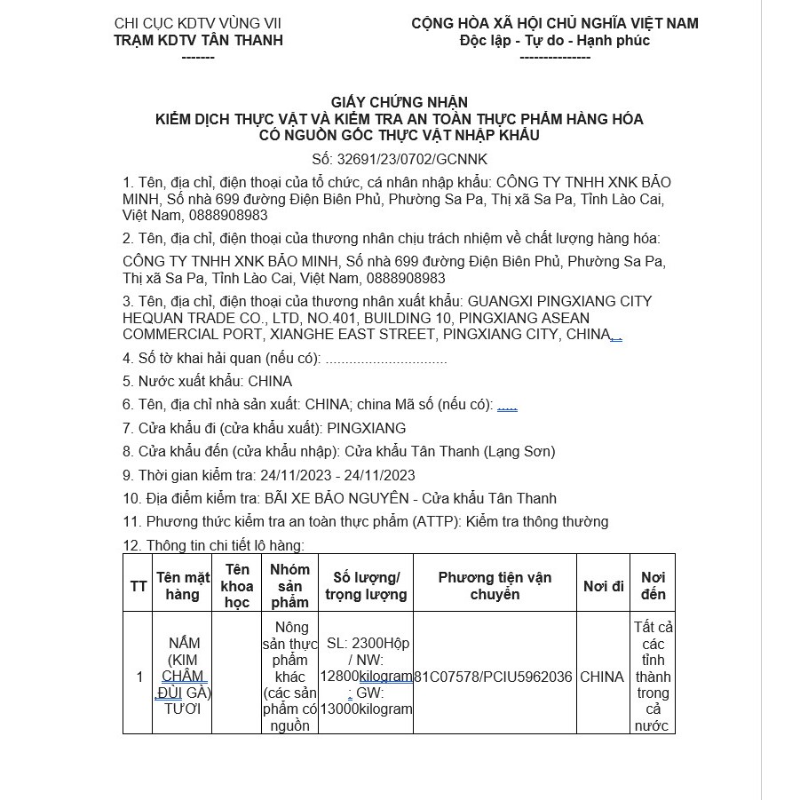 Nấm đùi gà , nấm hải sản tươi, thơm ngon, bổ dưỡng