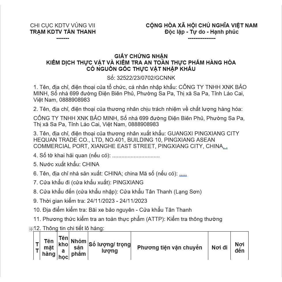 Nấm hải sản xanh lá , nấm hải sản tươi, thơm ngon, bổ dưỡng