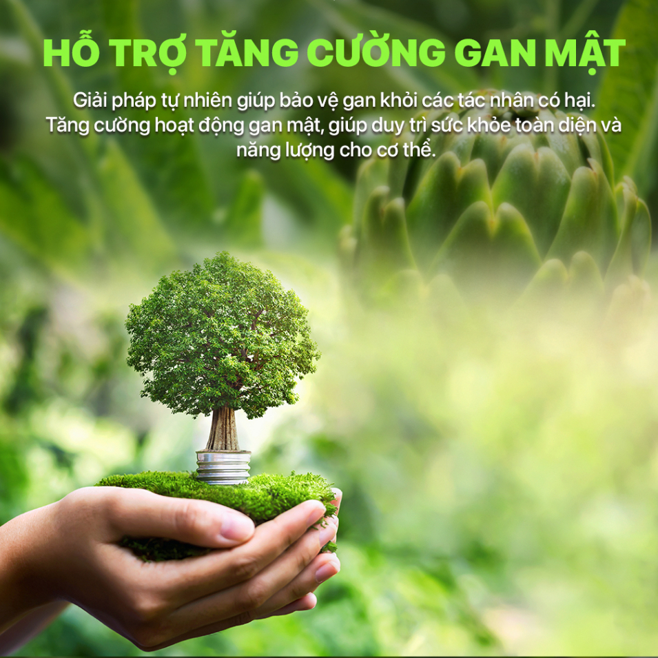 Nước uống tăng cường sức khỏe Lado Boost Actiso Ladopharma