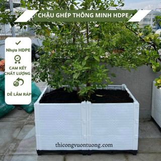 Chậu ghép trồng cây ăn quả, cây kiểng thân to 100x100x23,100x100x40,100x100x60 nhựa hdpe chắc chắn độ bền trên 10 năm