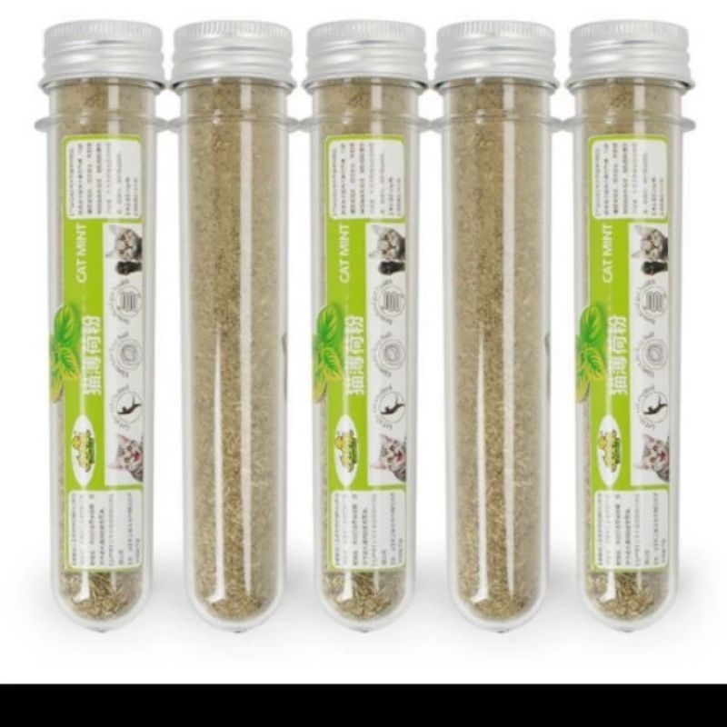 Cỏ Mèo bạc hà Catnip