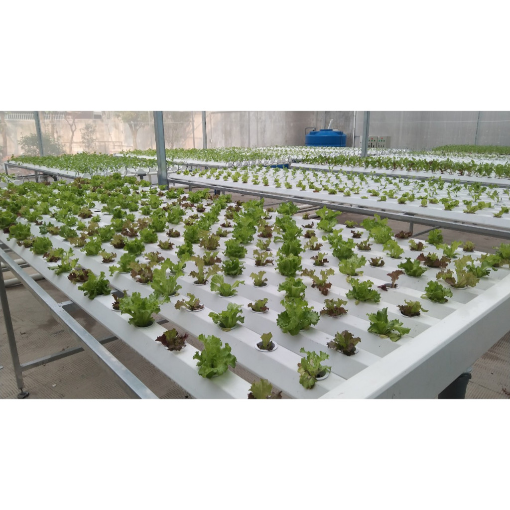 Ống nối thủy canh 50 x 100