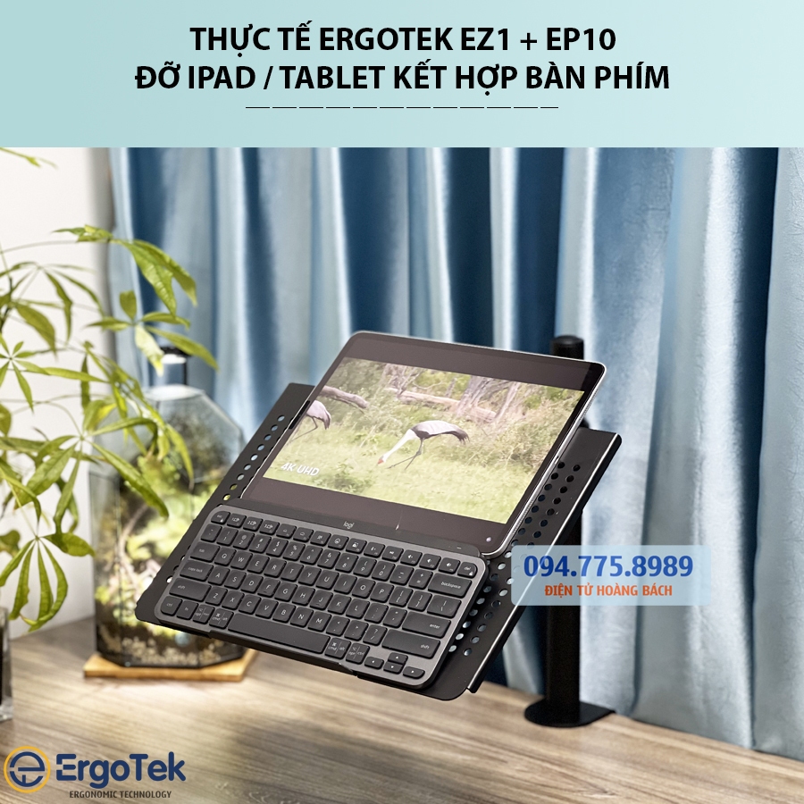 COMBO ErgoTek EZ1 + EP10  - Giá Đỡ, Kẹp Latop - Máy Tính Bảng 10 - 21 Inch / Kẹp Thành Bàn