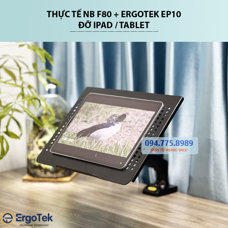 COMBO NB F80 + ErgoTek EP10  - Giá Đỡ, Kẹp Latop - Máy Tính Bảng 10 - 21 Inch / Kẹp Thành Bàn