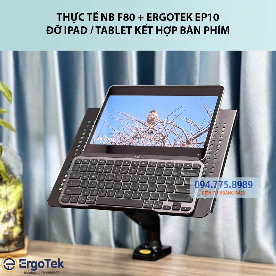 COMBO NB F80 + ErgoTek EP10  - Giá Đỡ, Kẹp Latop - Máy Tính Bảng 10 - 21 Inch / Kẹp Thành Bàn