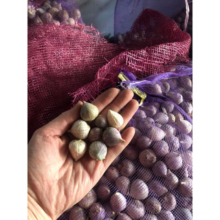 Tỏi cô đơn 500g - 1kg