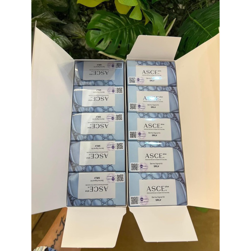 ASCE EXOSOME