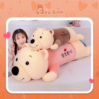 Gấu Bông Gối Ôm Hình Gấu Nằm Bắn Tim||Cực Yêu||Hàng Chuẩn Chất Lượng Cao - Gấu Xinh - G43