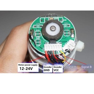 Động cơ giảm tốc 775 kèm encoder 12-24V 42 vòng/phút (Trục 10mm)