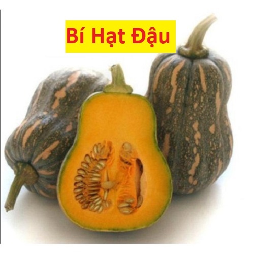Hạt Giống Bí Đỏ Hạt Đậu - Bí Hạt Đậu - gói 10Hạt