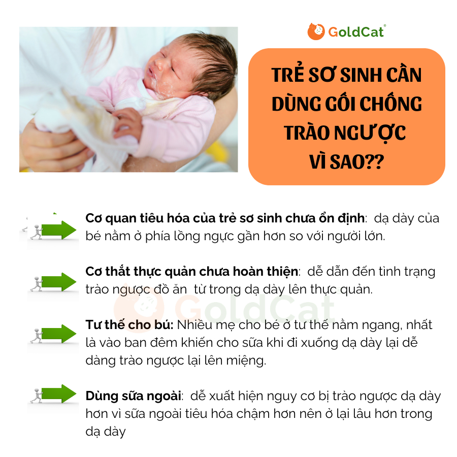 Gối Chống Trào Ngược Cho Bé Sơ Sinh GOLDCAT Chất Vải Muslin Mềm Mịn, Thấm Hút Tốt (Vỏ Có Khóa Kèm Lõi Bông)