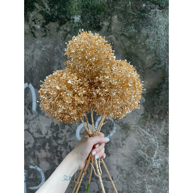 bông cẩm tú cầu đồng